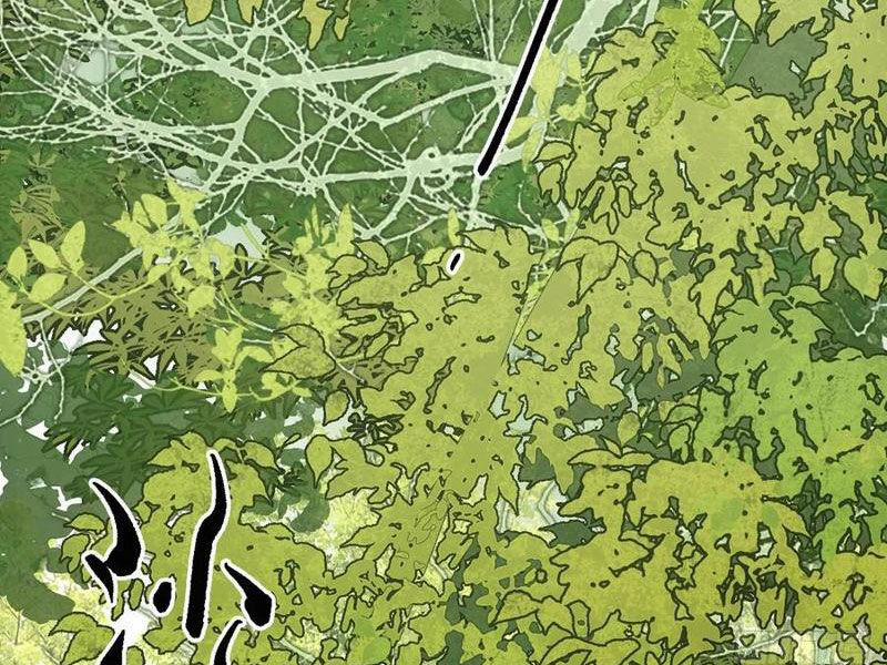 Xa Đao Nhân 40 trang 2