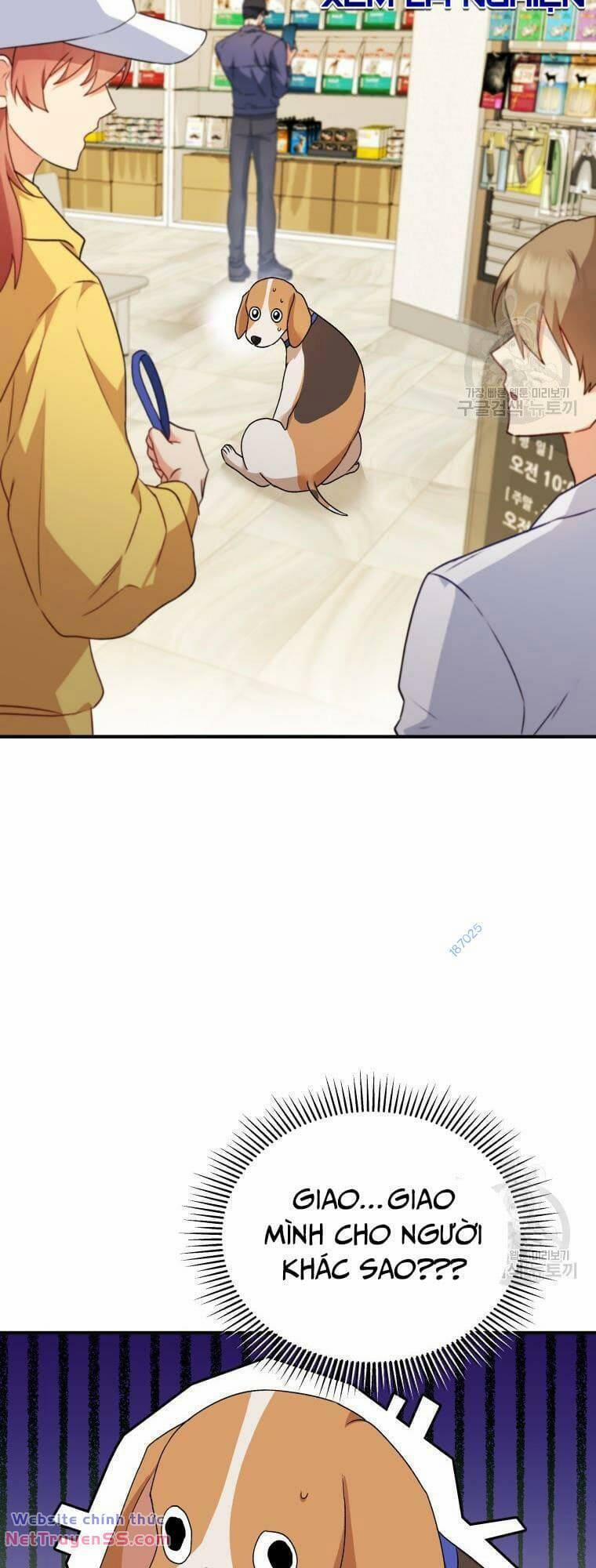 Xin Chào! Bác Sĩ Thú Y 10 trang 27