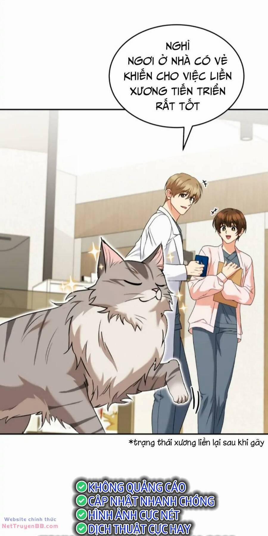 Xin Chào! Bác Sĩ Thú Y 16 trang 2