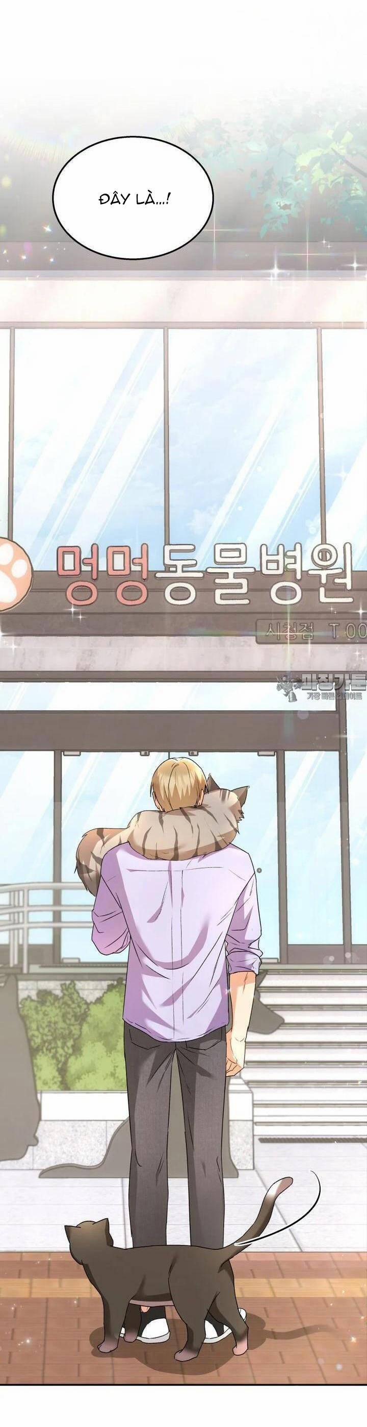 Xin Chào! Bác Sĩ Thú Y 51 trang 2