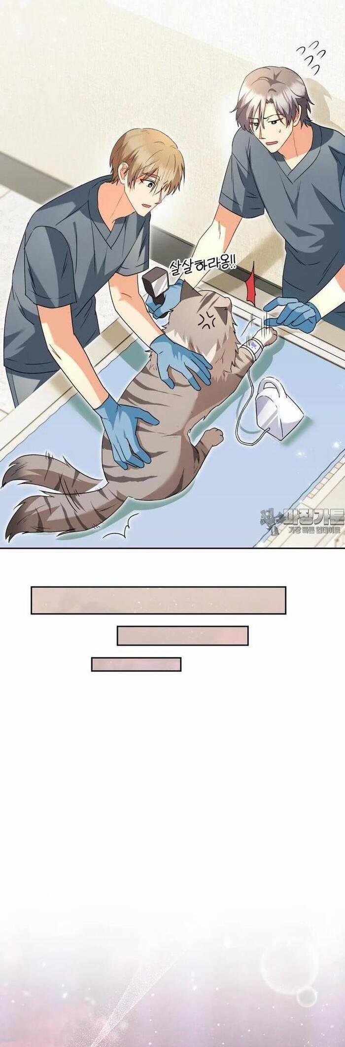 Xin Chào! Bác Sĩ Thú Y 52 trang 12