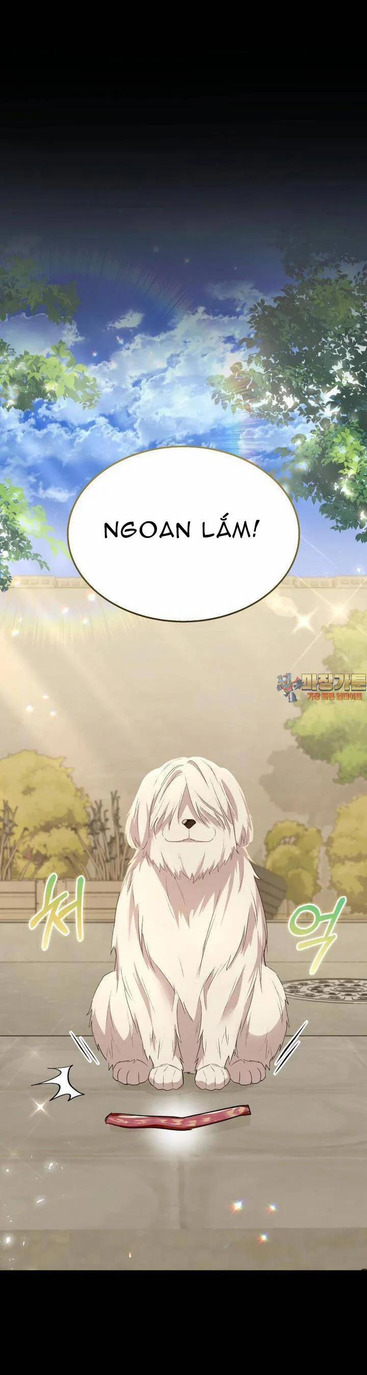 Xin Chào! Bác Sĩ Thú Y 55 trang 1