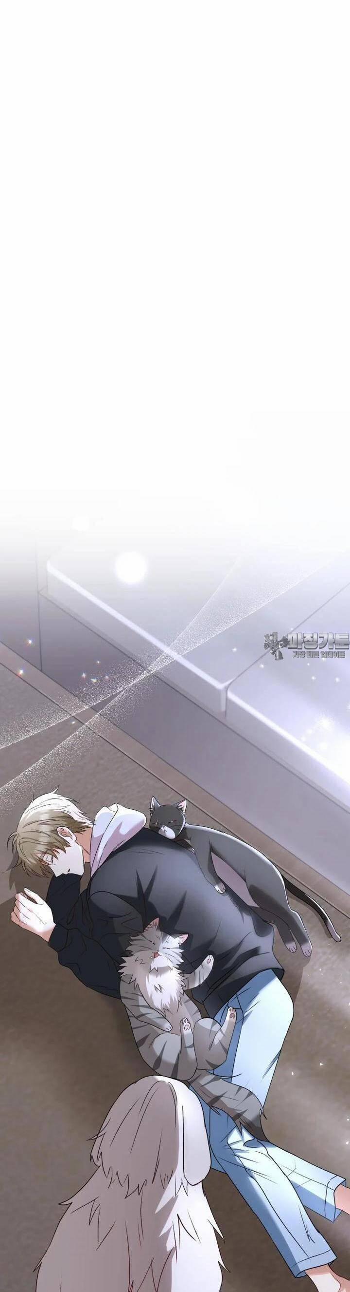 Xin Chào! Bác Sĩ Thú Y 55 trang 40