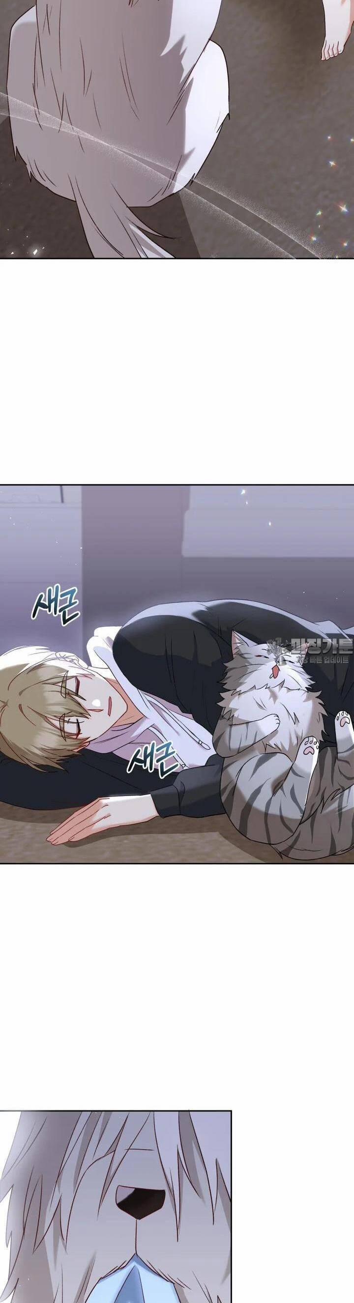 Xin Chào! Bác Sĩ Thú Y 55 trang 41