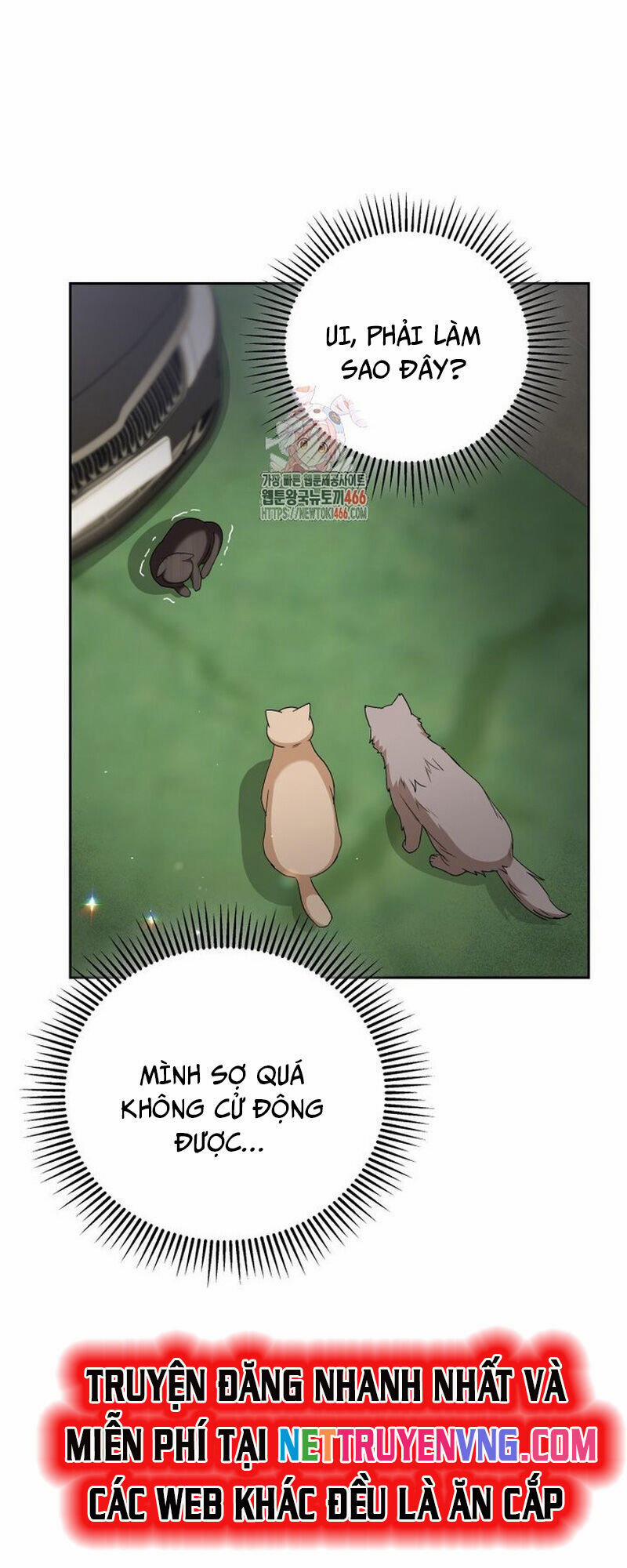 Xin Chào! Bác Sĩ Thú Y 77 trang 1