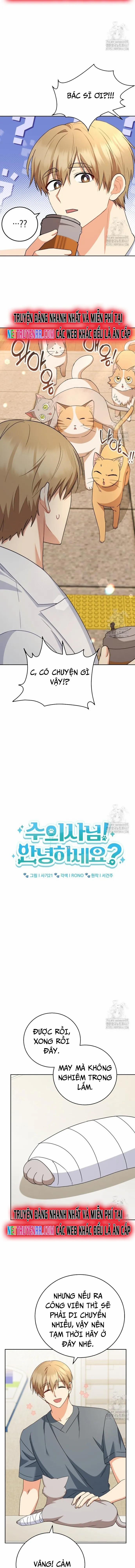 Xin Chào! Bác Sĩ Thú Y 81 trang 5