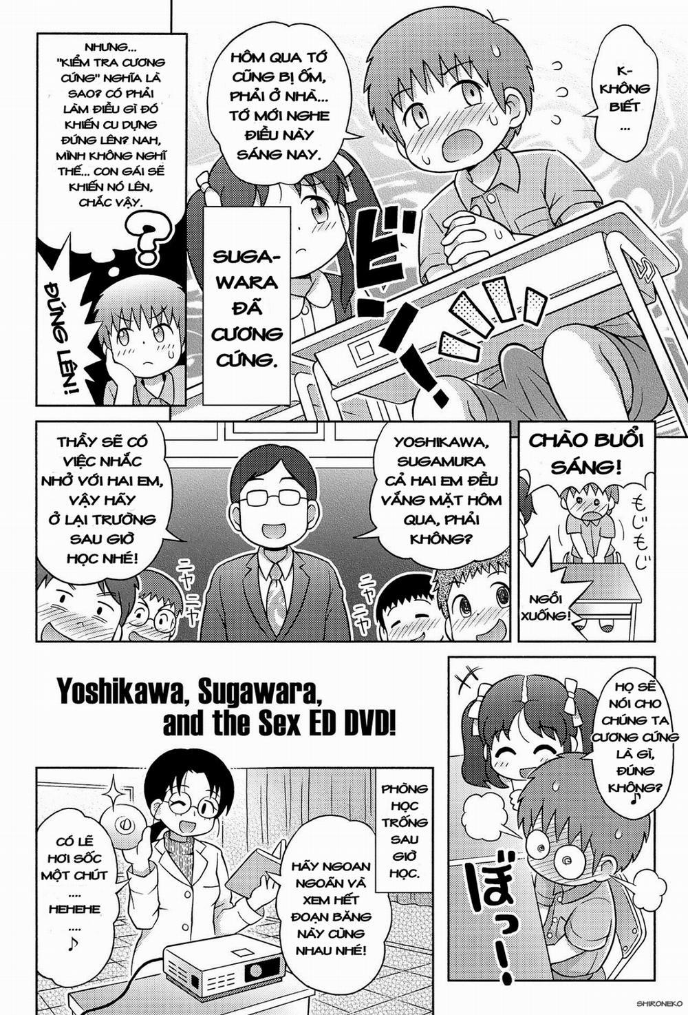 Yoshikawa-san to Sugawara-kun to Seikyouiku DVD! Oneshot trang 3